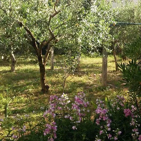 Apartman Mare Split